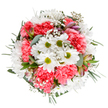 A vibrant celebration of spring, this thoughtfully composed bouquet expresses the harmony and renewal so often found in Radlett's flourishing landscapes. The central white daisies, their petals splayed elegantly around gleaming green centres, glow with purity and happiness, while the abundant coral-pink carnations add plush depth and inviting warmth. Wispy gypsophila dots the scene, its airy clusters imparting a lightness like the soft clouds over Newberries Park. Slender alstroemeria buds, tinged with hints of mauve and rose, peek from lush greenery, hinting at new blooms and quiet sophistication. The eucalyptus leaves-matte and silvery-pair beautifully with the glossy dark green sprigs, providing structure and subtle fragrance that recalls the fresh outdoors. Arranged with an eye for balance and beauty, this bouquet is perfect for birthdays, housewarmings, or to add a cheerful touch to a home or business near Shenley Road. It encapsulates the expert hand and thoughtful heart of Radlett's florists, elevating everyday flower delivery into an art form that brightens the lives and spaces of the local community.